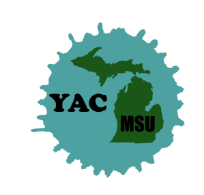 YAC Color Logo