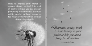 I too am guilty of the occasional piffle.