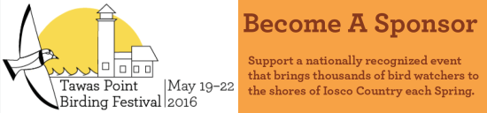 Image shows the logo for the Tawas Point Birding Festival, which features a stylized Piping Plover flying toward a lighthouse silhouetted by the sun with the words "Tawas Point Birding Festival, May 19-22 2016" next to text describing how to "Become a Sponsor" on an orange background.