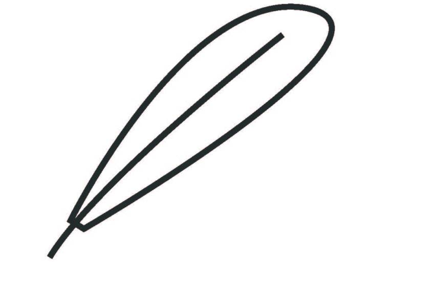 Image shows the outline of a feather in white and grey.