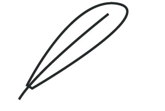 Image shows the outline of a feather in white and grey.